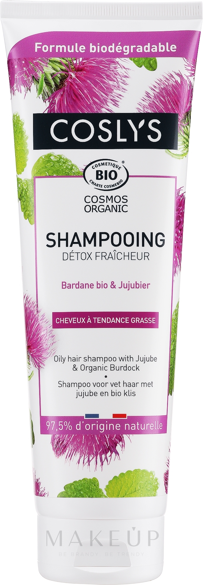Shampoo für fettiges Haar mit Bio Pfefferminze - Coslys Shampoo with organic peppermint — Bild 250 ml