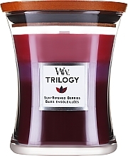 Düfte, Parfümerie und Kosmetik Duftkerze im Glas Sun Ripened Berries - WoodWick Hourglass Trilogy Candle Sun Ripened Berries