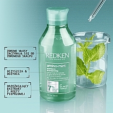 Erfrischendes und feuchtigkeitsspendendes Shampoo für fettige Kopfhaut - Redken Amino Mint Shampoo — Bild N2