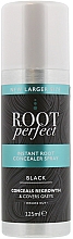 Düfte, Parfümerie und Kosmetik Sprühkorrektor für überwucherte Wurzeln - Root Perfect Instant Root Concealer Spray