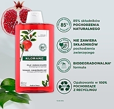 Farbschutz-Shampoo für coloriertes Haar mit Granatapfel - Klorane Shampoo with Pomegranate — Bild N3
