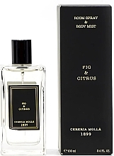 Cereria Molla Fig & Citrus  - Duftspray — Bild N1