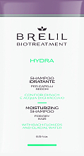 GESCHENK! Feuchtigkeitsspendendes Shampoo für trockenes Haar - Brelil Bio Treatment Hydra Shampoo  — Bild N1