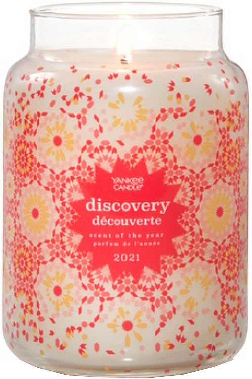 Duftkerze im Glas Discovery - Yankee Candle Discovery Scent Of The Years 2021 — Bild N2