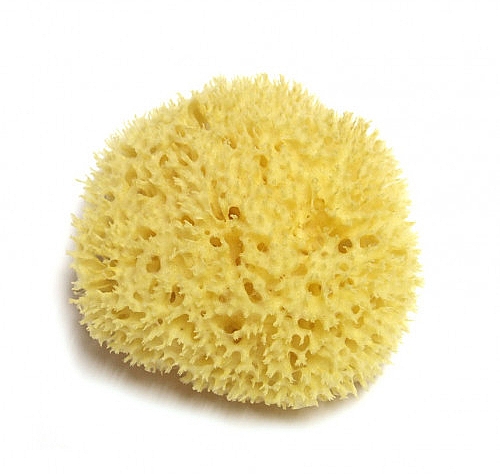 Natürlicher Meeresschwamm 12.7 cm - Hydrea London Honeycomb Sea Sponge Premium Quality — Bild N2