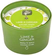 Düfte, Parfümerie und Kosmetik Duftkerze Limette und Ingwer - Pan Aroma Lime & Ginger Scented Candle