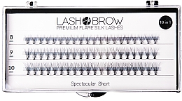 Düfte, Parfümerie und Kosmetik Wimpernbüschel-Set - Lash Brown Premium Flare Silk Lashes Spectacular Short