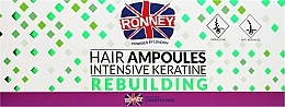 Düfte, Parfümerie und Kosmetik Regenerierende und feuchtigkeitsspendende Haarampullen für trockenes und strapaziertes Haar mit Keratin - Ronney Hair Ampoules Intensive Keratine Rebuilding