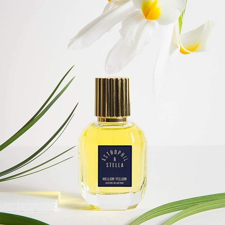 Astrophil & Stella Mellow Yellow - Eau de Parfum — Bild N4