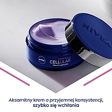 Anti-Aging Nachtcreme - NIVEA Cellular Anti-Age Skin Rejuvenation Night Cream — Bild N3