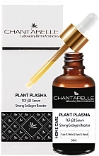 Düfte, Parfümerie und Kosmetik Gesichtsserum - Chantarelle Plant Plazma
