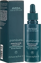 Konzentriertes Serum für die Kopfhaut - Aveda Pramasana Protective Scalp Concentrate — Bild N1