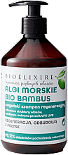 Düfte, Parfümerie und Kosmetik Revitalisierendes Shampoo mit Algen und Bambus - Bioelixire