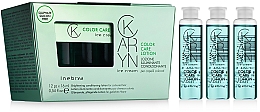 Lotion für coloriertes Haar - Inebrya Karyn Color Care Lotion — Bild N1