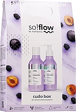 Düfte, Parfümerie und Kosmetik Set für coloriertes Haar - So!Flow by VisPlantis Cudo Box (Shampoo 400ml + Conditioner 400ml)