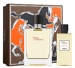 Düfte, Parfümerie und Kosmetik Hermes Terre d'Hermes - Duftset (Eau de Toilette 100ml + Duschgel 80ml)
