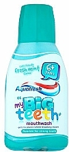 Düfte, Parfümerie und Kosmetik Mundwasser - Aquafresh Big Teeth Mild Minty Mouthwash