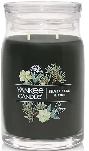 Duftkerze im Glas Silver Sage & Pine Zwei Dochte - Yankee Candle Singnature — Bild N1