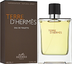 Hermes Terre D'Hermes - Eau de Toilette  — Bild N2