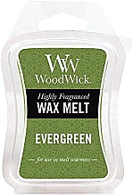 Düfte, Parfümerie und Kosmetik Tart-Duftwachs Evergreen - WoodWick Mini Wax Melt Evergreen Smart Wax System