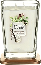 Düfte, Parfümerie und Kosmetik Duftkerze Sweet Frosting - Yankee Candle Sweet Frosting Elevation Candle