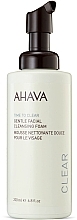 Düfte, Parfümerie und Kosmetik Gesichtsreinigungsschaum für alle Hauttypen - Ahava Time to Clear Gentle Facial Cleansing Foam