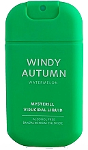 Düfte, Parfümerie und Kosmetik Antibakterielles Handspray mit Wassermelone - HiSkin Antibac Hand Spray Windy Autumn
