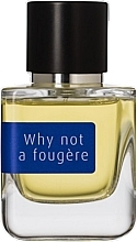 Düfte, Parfümerie und Kosmetik Mark Buxton Why Not A Fougere - Eau de Parfum