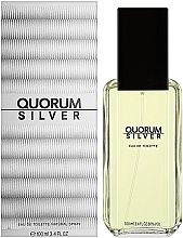 Antonio Puig Quorum Silver - Eau de Toilette  — Bild N2