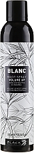 Volumen-Haarspray mit Bambusextrakt - Black Professional Line Blanc Volume Up Root Spray — Foto N1