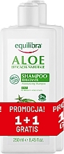 Düfte, Parfümerie und Kosmetik Haarpflegeset - Equilibra Aloe (Shampoo 2x250ml)