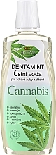 Düfte, Parfümerie und Kosmetik Mundwasser mit Hanföl - Bione Cosmetics Dentamint Mouthwash Cannabis