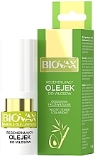 Düfte, Parfümerie und Kosmetik Haaröl für dünnes und schwaches Haar mit Bambus- und Avocadoöl - Biovax Bambus & Avocado Oil Elirsir