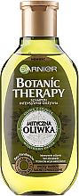 Shampoo - Garnier Botanic Therapy Olive — Bild N1