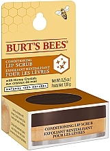 Pflegendes Lippenpeeling - Burt's Bees Conditioning Lip Scrub — Bild N5