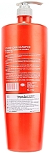 Farbschutz Shampoo für coloriertes Haar - Angel Professional Expert Hair Color-Lock Shampoo — Bild N2