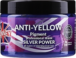 Düfte, Parfümerie und Kosmetik Haarmaske gegen Gelbstich - Ronney Professional Anti-Yellow Pigment Silver Power Mask