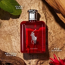 Ralph Lauren Polo Red Eau De Parfum - Eau de Parfum — Bild N4