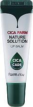 Düfte, Parfümerie und Kosmetik Revitalisierender Lippenbalsam mit Centella Asiatica - Farmstay Cica Farm Nature Solution Lip Balm