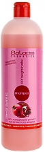 Düfte, Parfümerie und Kosmetik Shampoo mit Granatapfelextrakt - Salerm Pomegranate Shampoo 