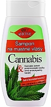 Shampoo mit Hanf für fettiges Haar - Bione Cosmetics Cannabis Shampoo — Bild N1