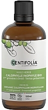 Bio-Calophyllaöl - Centifolia Organic Virgin Oil  — Bild N1