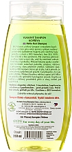 Shampoo mit Brennnessel - Bione Cosmetics Nettle Hair Shampoo — Bild N2