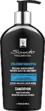 Düfte, Parfümerie und Kosmetik Shampoo für trockenes coloriertes Haar - Santo Volcano Spa Shampoo for Dry Coloured Hair