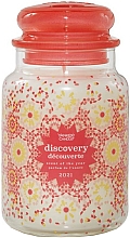 Düfte, Parfümerie und Kosmetik Duftkerze im Glas Discovery - Yankee Candle Discovery Scent Of The Years 2021