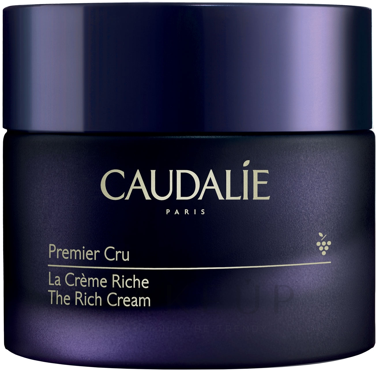 Pflegende Gesichtscreme mit Hyaluronsäure - Caudalie Premier Cru The Rich Cream — Bild 50 ml
