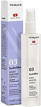 Düfte, Parfümerie und Kosmetik Spray-Booster für das Haar - Vitalcare Professional Hyalufiller Made In Swiss Hair Booster Spray