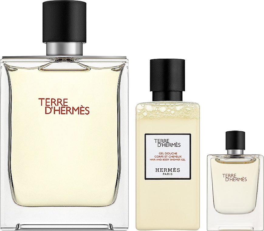 Hermes Terre d’Hermes - Duftset (Eau de Toilette 100ml + Duschgel 40ml + Eau de Toilette 5ml)  — Bild N1