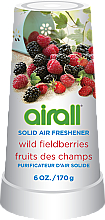 Düfte, Parfümerie und Kosmetik Fester Lufterfrischer Waldbeeren - Airall Air Freshener Solid Wild Berries