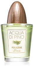 Düfte, Parfümerie und Kosmetik Pino Silvestre Acqua di Pino Fougere - Eau de Toilette